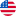 US icon